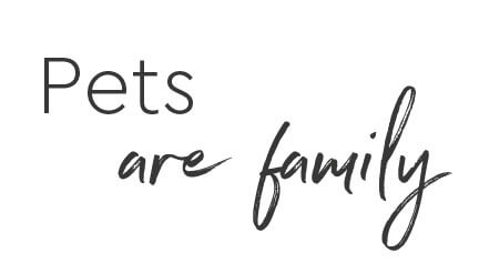 O meu coração bate por ti