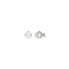 Classy Simple Pearl Earrings