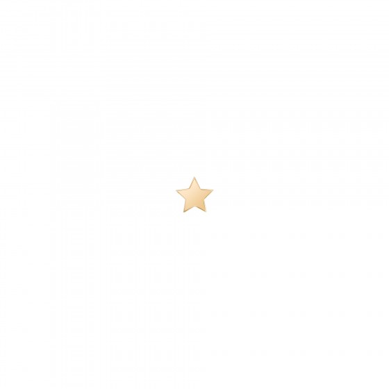 Matchy Star Gold Unique Earring