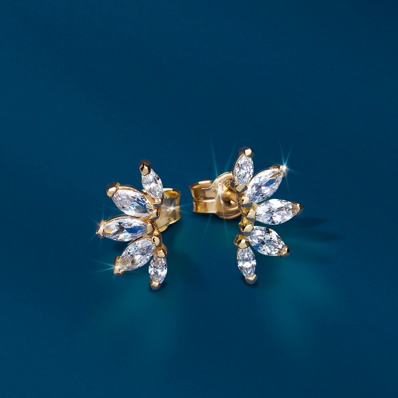 Brincos Ouro Trendy Leafs