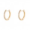 Gold Timeless Medium Hoops