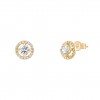 Gold Timeless Halo Earrings