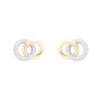 Classy Two Circles Earrings