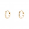 Classy Golden Hoops