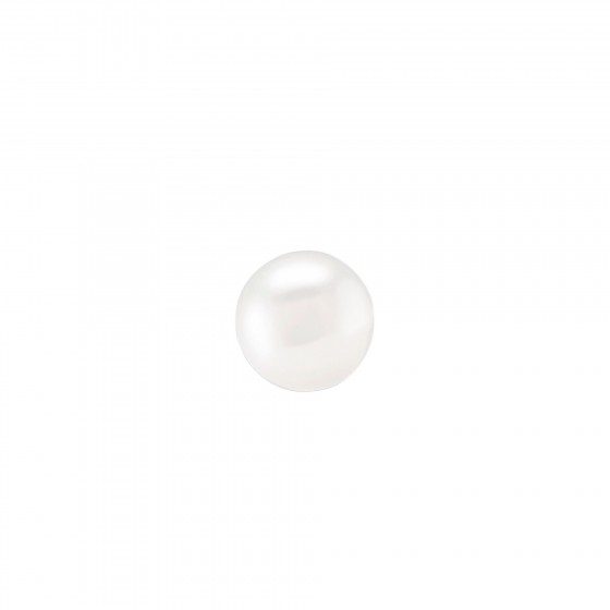 Brincos Classy Simple Pearl