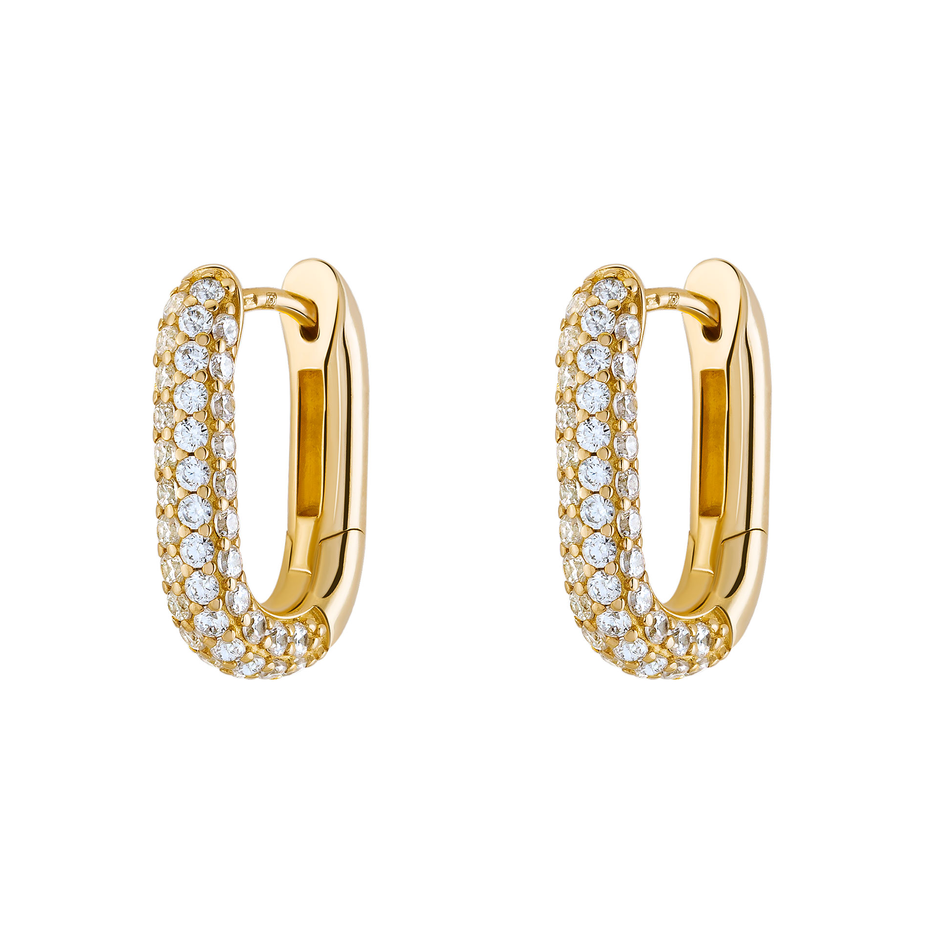 Bold Daily Shiny Hoops