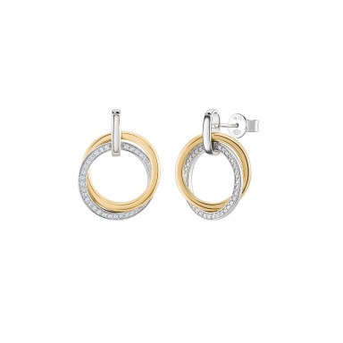 Classy Golden & Silver Earrings