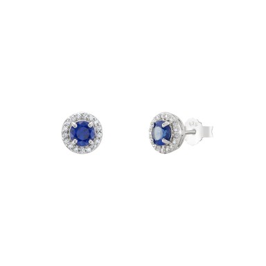 Matchy Colors Blue Royal Earrings