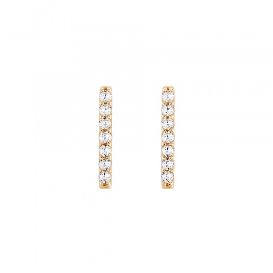 Gold Trendy Line Earrings