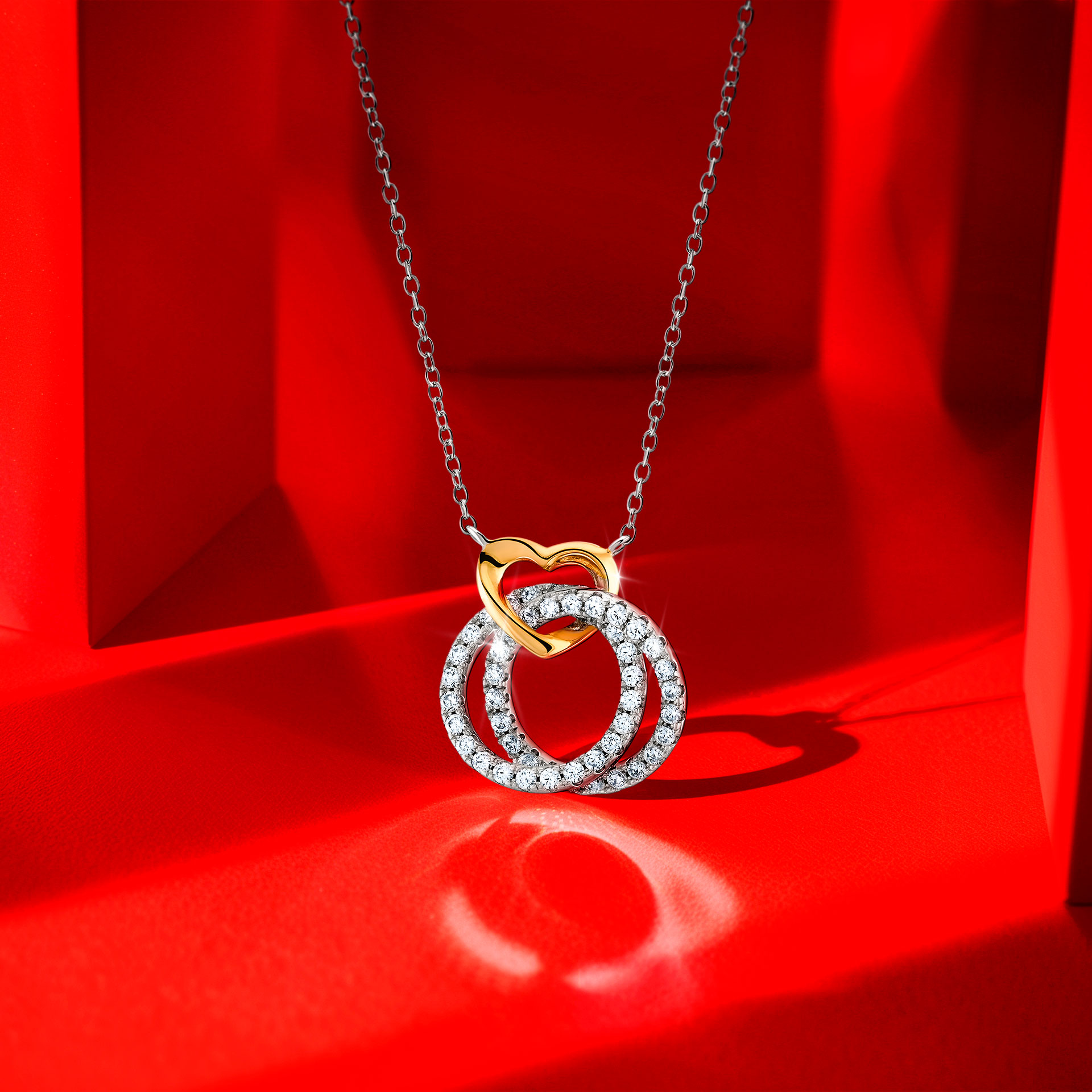 Colar Classy Double Circle Bicolor