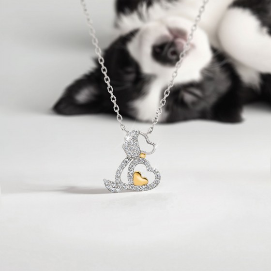 Colar Classy Pet Co