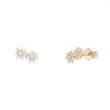 Gold 2 Flowers Earrings