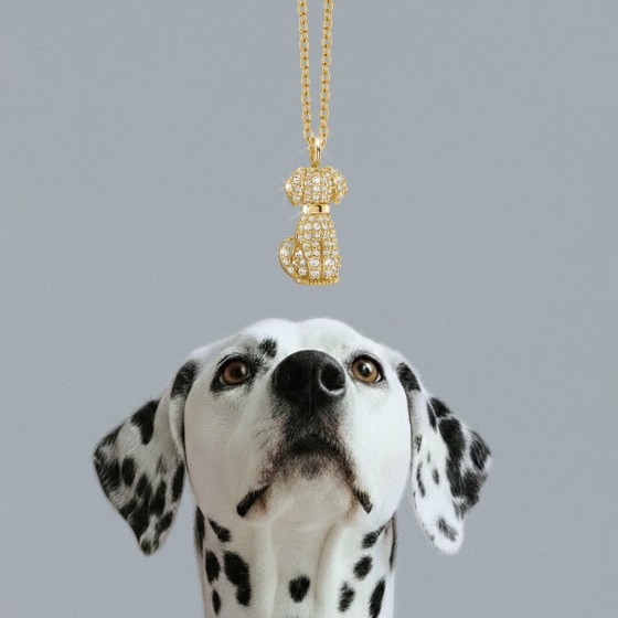 Pet Lovers Dog Shine Necklace