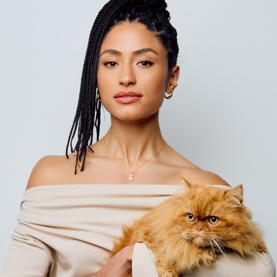 Pet Lovers Cat Shine Necklace