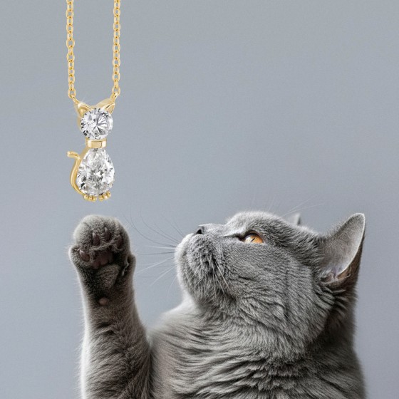 Pet Lovers Cat Shine Necklace II